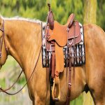 Horse Saddles