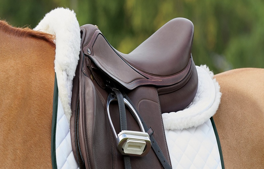 How To Choose The Finest Saddle Pads For Your Home