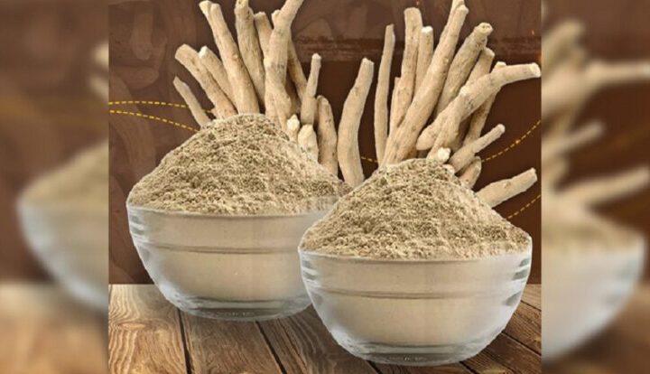 Errors to Keep away from Whereas Selecting Ashwagandha Natural Root Powder Provider