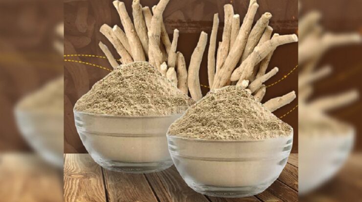 Errors to Keep away from Whereas Selecting Ashwagandha Natural Root Powder Provider