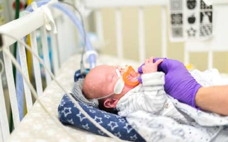 Pediatric Digestive Well being: Knowledgeable Care & Holistic Options