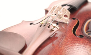 All You Really need To Concentrate on Stringed Devices –